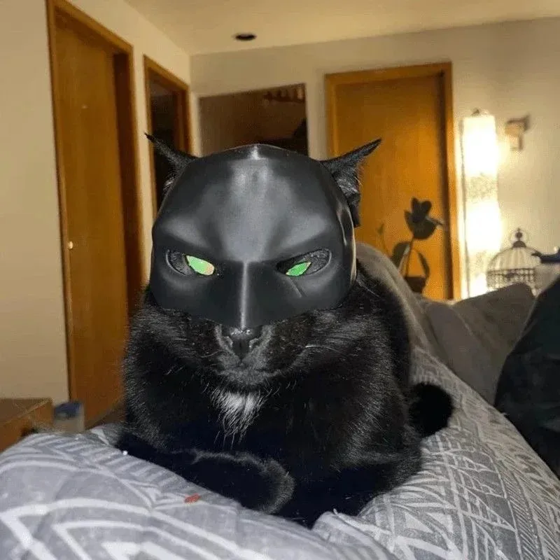 3D Printed Cat Avenger Mask Ba - 3D Printing Foto ulasan dan harga